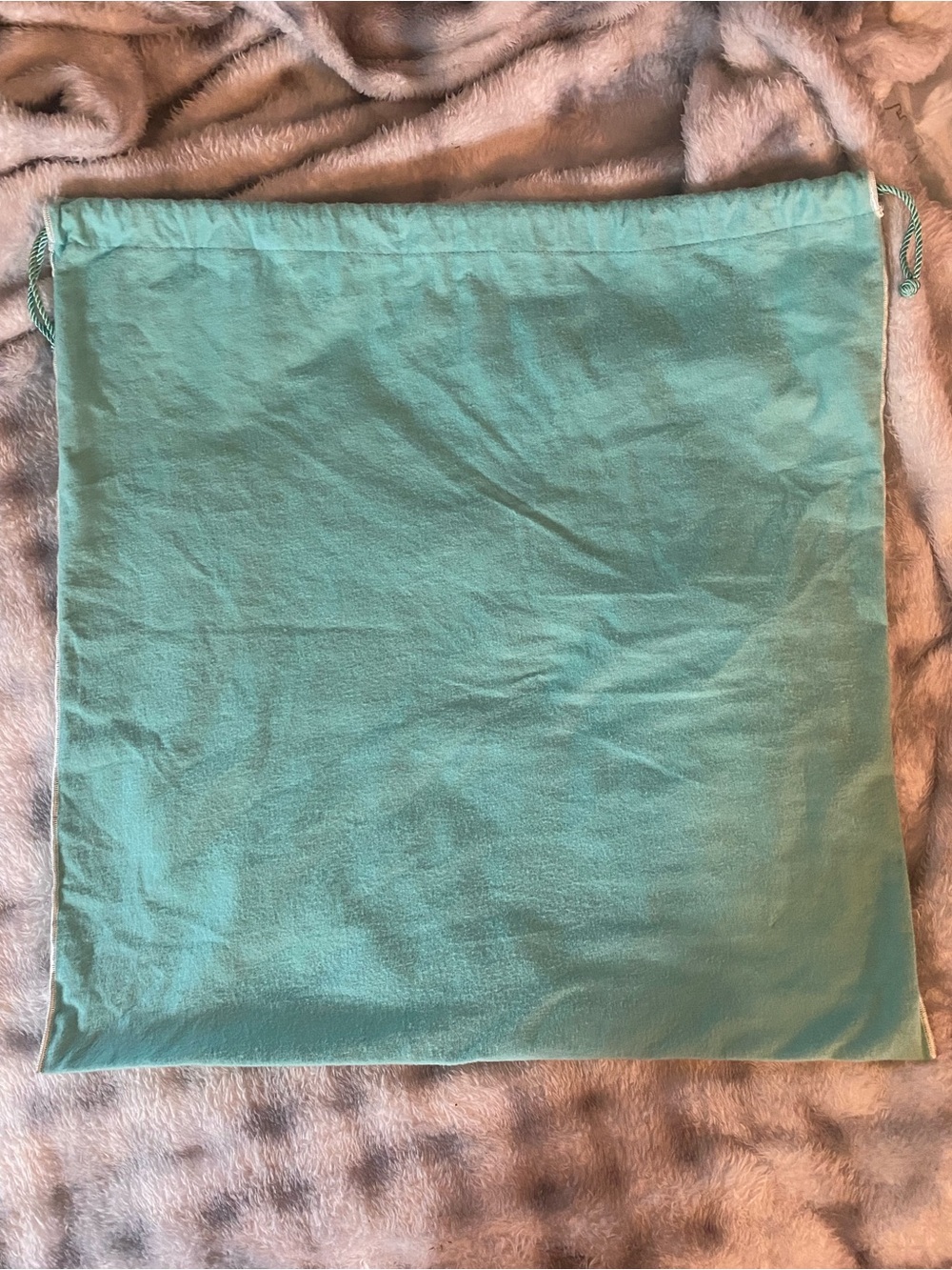 Tiffany & Co. Light Blue Drawstring Dust bag - Picture 5 of 5